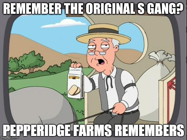 PEPPERIDGE FARMS REMEMBERS | REMEMBER THE ORIGINAL S GANG? | image tagged in pepperidge farms remembers | made w/ Imgflip meme maker