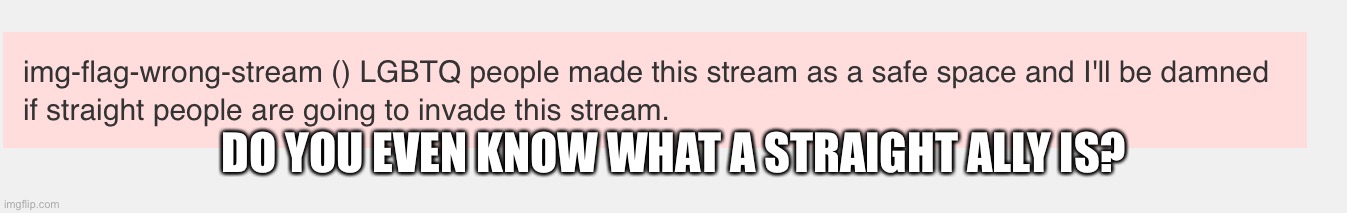 DO YOU EVEN KNOW WHAT A STRAIGHT ALLY IS? | made w/ Imgflip meme maker
