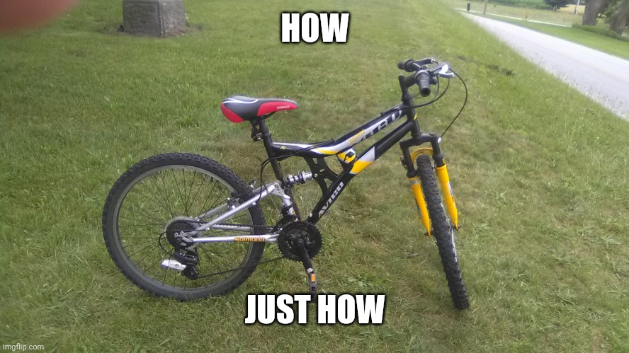 How XD | HOW; JUST HOW | image tagged in funny,bike | made w/ Imgflip meme maker