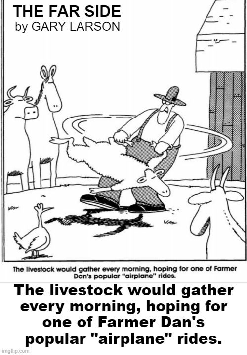 Farmer Dan from Spokane made it fun for everyone | THE FAR SIDE; by GARY LARSON; The livestock would gather
every morning, hoping for
one of Farmer Dan's
popular "airplane" rides. | image tagged in comics,farmer,farm animals,animal farm,funny animals | made w/ Imgflip meme maker