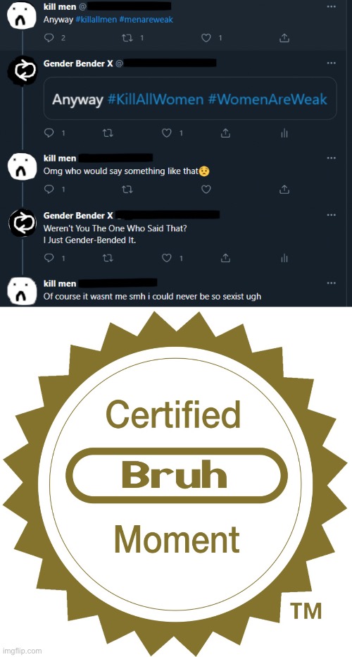 This is a repost and I’m not sure if the other user is trolling (the one that said kill all men) | image tagged in certified bruh moment | made w/ Imgflip meme maker