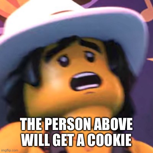 Cole | THE PERSON ABOVE WILL GET A COOKIE | image tagged in cole | made w/ Imgflip meme maker