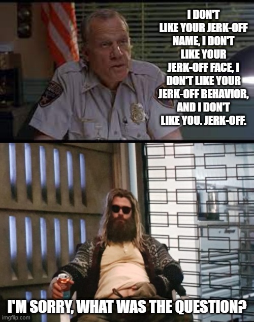 The Big Thorski | I DON'T LIKE YOUR JERK-OFF NAME, I DON'T LIKE YOUR JERK-OFF FACE, I DON'T LIKE YOUR JERK-OFF BEHAVIOR, AND I DON'T LIKE YOU. JERK-OFF. I'M SORRY, WHAT WAS THE QUESTION? | image tagged in fat thor | made w/ Imgflip meme maker