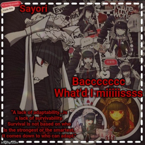 Celestia Temp | Baccccccc
What'd I miiiiissss | image tagged in celestia temp | made w/ Imgflip meme maker