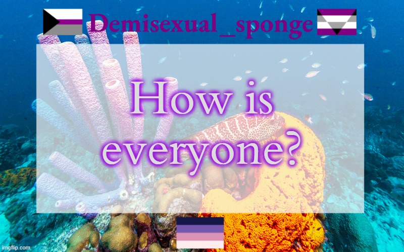 Another check-in | How is everyone? | image tagged in demisexual_sponge's template 3,demisexual_sponge | made w/ Imgflip meme maker