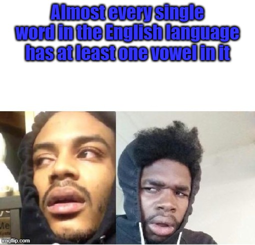 Vowels are cool | Almost every single word in the English language has at least one vowel in it | image tagged in hits blunt | made w/ Imgflip meme maker