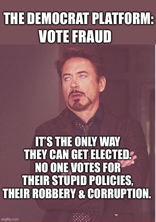 The democratic way | VOTE FRAUD; THE DEMOCRAT PLATFORM:; IT’S THE ONLY WAY THEY CAN GET ELECTED. NO ONE VOTES FOR THEIR STUPID POLICIES, THEIR ROBBERY & CORRUPTION. | image tagged in memes,face you make robert downey jr,triiggering in 5  4   3  2,dan sharp ross,quote | made w/ Imgflip meme maker