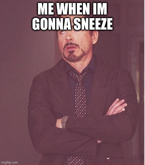 Face You Make Robert Downey Jr |  ME WHEN IM GONNA SNEEZE | image tagged in memes,face you make robert downey jr | made w/ Imgflip meme maker