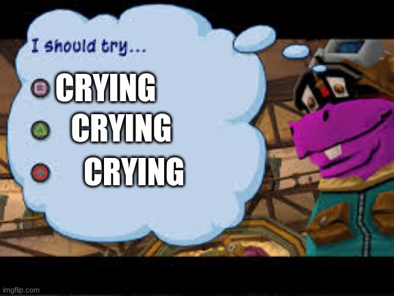 Sly cooper 3 | CRYING CRYING CRYING | image tagged in sly cooper 3 | made w/ Imgflip meme maker