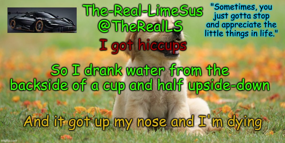 HELP | I got hiccups; So I drank water from the backside of a cup and half upside-down; And it got up my nose and I'm dying | image tagged in limesus doggo announcement temp v1 4 | made w/ Imgflip meme maker