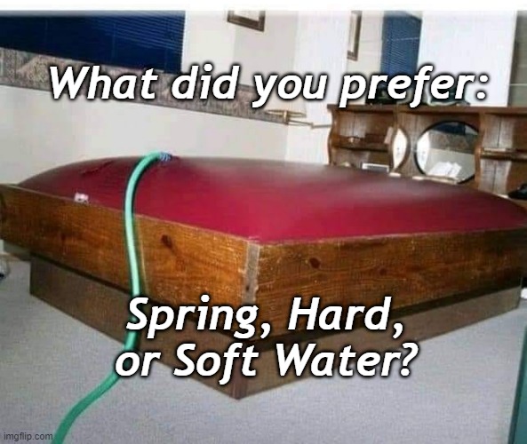 Spring Water is Best for Water Beds | What did you prefer:; Spring, Hard, or Soft Water? | image tagged in humor,puns,waterbeds | made w/ Imgflip meme maker