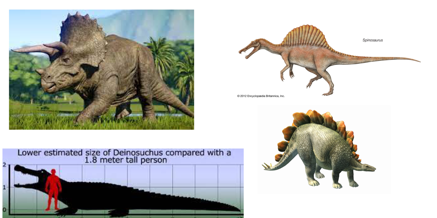 Dinosaurs Blank Meme Template