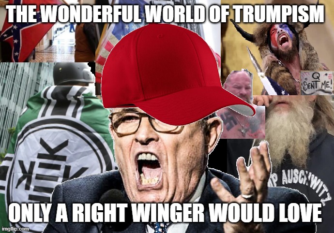 Trumpers - only the best | THE WONDERFUL WORLD OF TRUMPISM; ONLY A RIGHT WINGER WOULD LOVE | image tagged in dc riot maga fascists traitor,republicans,donald trump,trump supporters,rioters,rudy giuliani | made w/ Imgflip meme maker