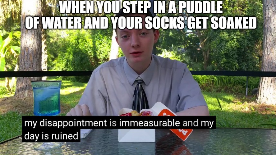 ;--; | WHEN YOU STEP IN A PUDDLE OF WATER AND YOUR SOCKS GET SOAKED | image tagged in my disappointment is immeasurable | made w/ Imgflip meme maker