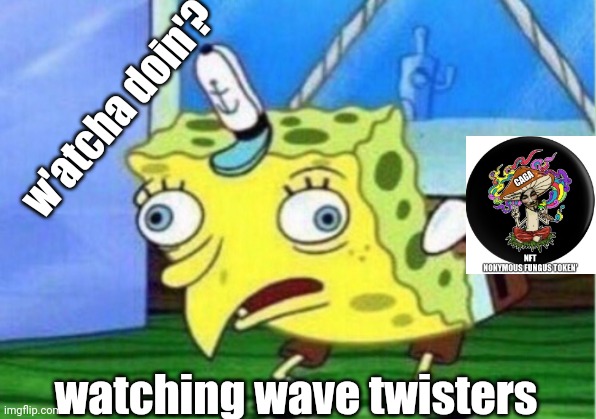 sensird sponge but wave twisters | w'atcha doin'? watching wave twisters | image tagged in mocking spongebob,nft,sensird,wave twisters,redworm,shroom token | made w/ Imgflip meme maker