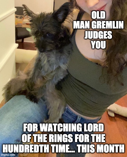 Old Man Gremlin's Feelings on LOTR | OLD MAN GREMLIN
JUDGES
YOU; FOR WATCHING LORD OF THE RINGS FOR THE HUNDREDTH TIME... THIS MONTH | image tagged in old man gremlin,old man gremlin judges you,lord of the rings,lotr | made w/ Imgflip meme maker