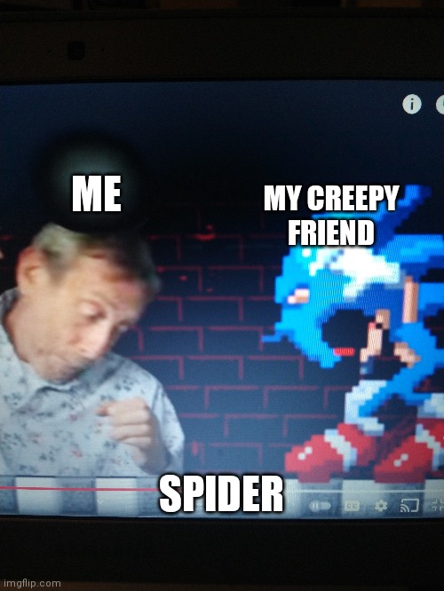 Spiders am I right | ME; MY CREEPY FRIEND; SPIDER | image tagged in spider,sonicexe,michael rosen | made w/ Imgflip meme maker
