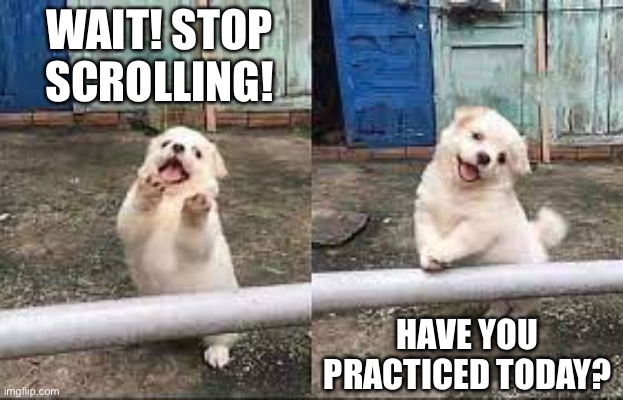 Practice | WAIT! STOP SCROLLING! HAVE YOU PRACTICED TODAY? | image tagged in wait stop scrolling | made w/ Imgflip meme maker