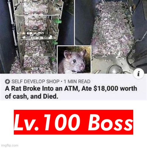 Thats how mafia works | image tagged in mafia,rat,theif,memes,funny | made w/ Imgflip meme maker