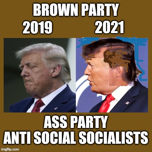 trumps hair brown | 2021; 2019 | image tagged in blank brown party template ass anti social socialists,trumps hair,brown,brown hair,caga,brown party | made w/ Imgflip meme maker