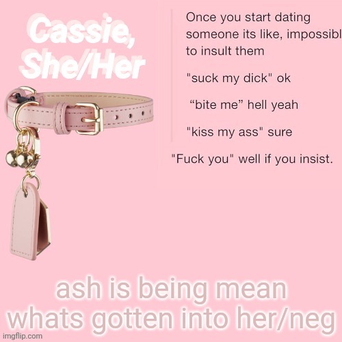 good night... | ash is being mean whats gotten into her/neg | image tagged in cassie | made w/ Imgflip meme maker