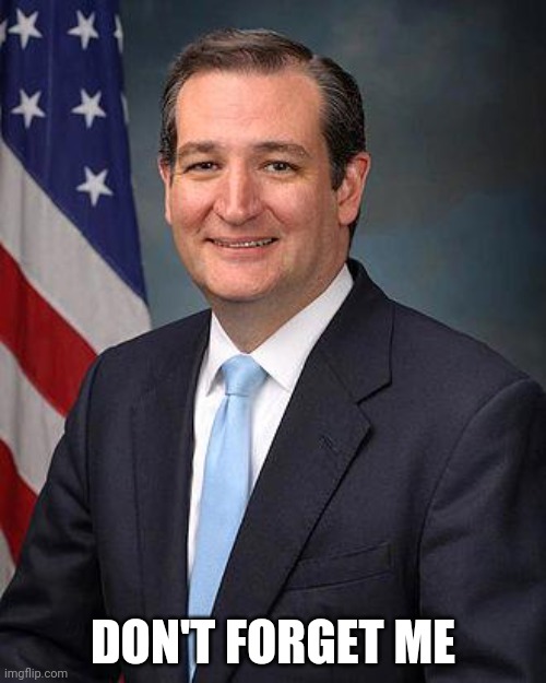 Ted Cruz | DON'T FORGET ME | image tagged in ted cruz | made w/ Imgflip meme maker