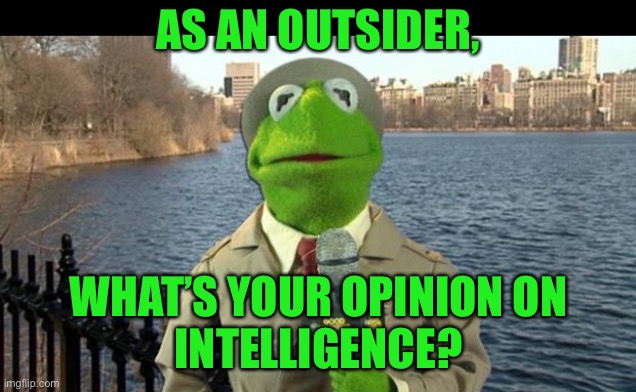 Kermit News Report | AS AN OUTSIDER, WHAT’S YOUR OPINION ON
INTELLIGENCE? | image tagged in kermit news report | made w/ Imgflip meme maker