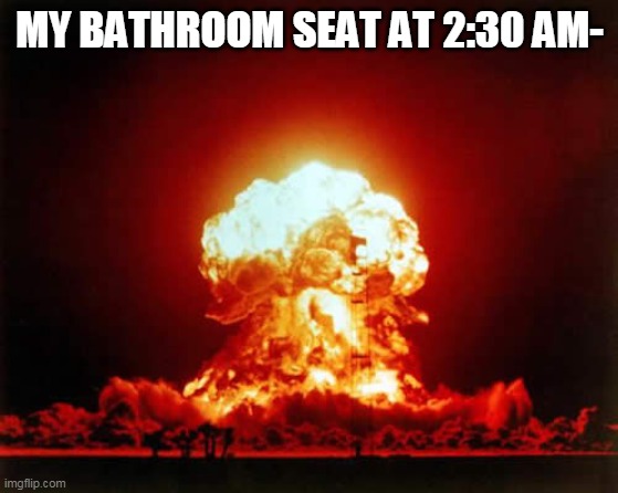 Well, it is what it is..... | MY BATHROOM SEAT AT 2:30 AM- | image tagged in memes,nuclear explosion | made w/ Imgflip meme maker