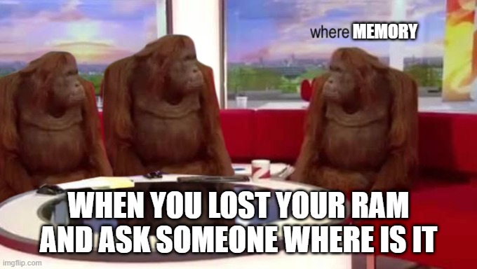 where is my RAM | MEMORY; WHEN YOU LOST YOUR RAM AND ASK SOMEONE WHERE IS IT | image tagged in where banana,memory,monkey | made w/ Imgflip meme maker