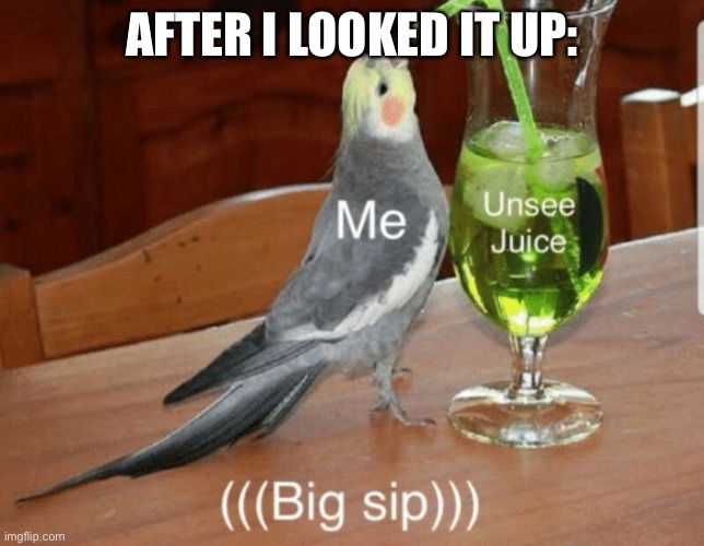 Unsee juice | AFTER I LOOKED IT UP: | image tagged in unsee juice | made w/ Imgflip meme maker