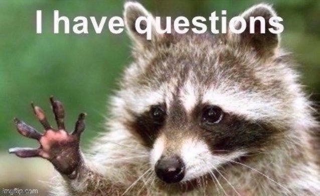 I have questions raccoon jpeg degrade | image tagged in i have questions raccoon jpeg degrade | made w/ Imgflip meme maker