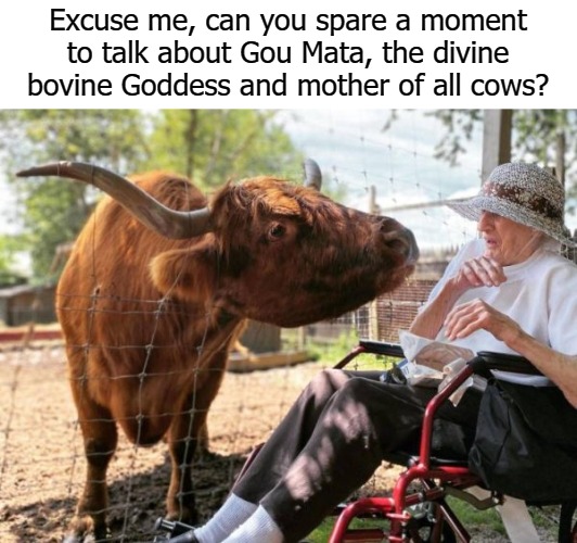 Excuse me, can you spare a moment to talk about Gou Mata, the divine bovine Goddess and mother of all cows? | image tagged in bovine | made w/ Imgflip meme maker