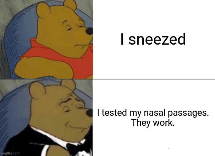 Tuxedo Winnie The Pooh Meme | I sneezed; I tested my nasal passages.

They work. | image tagged in memes,tuxedo winnie the pooh | made w/ Imgflip meme maker