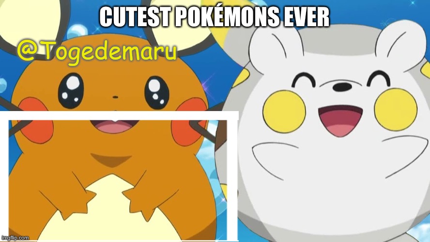 Togedemaru | CUTEST POKÉMONS EVER | image tagged in togedemaru,is,cute | made w/ Imgflip meme maker