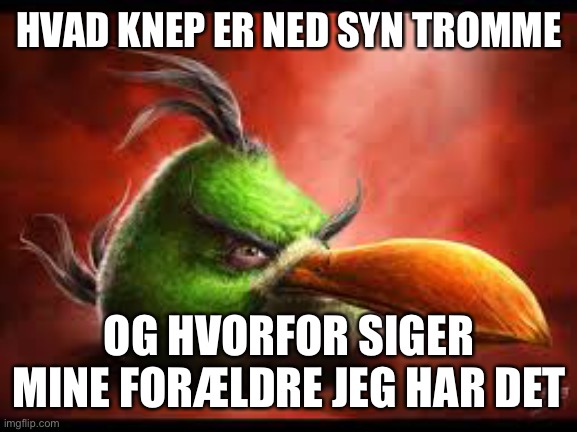 HVAD KNEP ER NED SYN TROMME; OG HVORFOR SIGER MINE FORÆLDRE JEG HAR DET | image tagged in okkammeratmongol | made w/ Imgflip meme maker