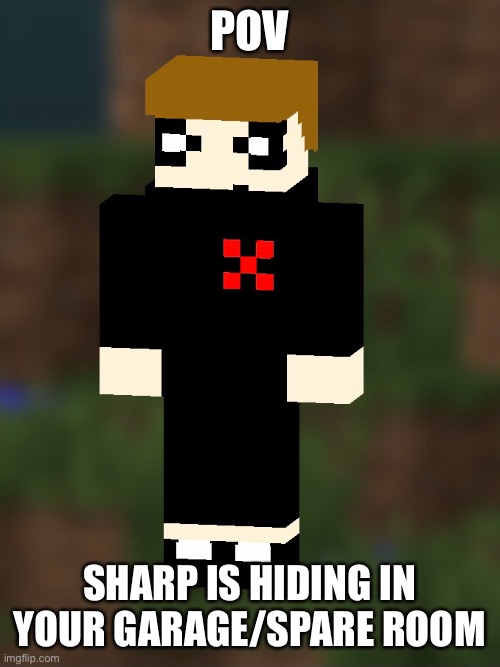 Won’t be on for the next few days but can still rp for a bit | POV; SHARP IS HIDING IN YOUR GARAGE/SPARE ROOM | made w/ Imgflip meme maker