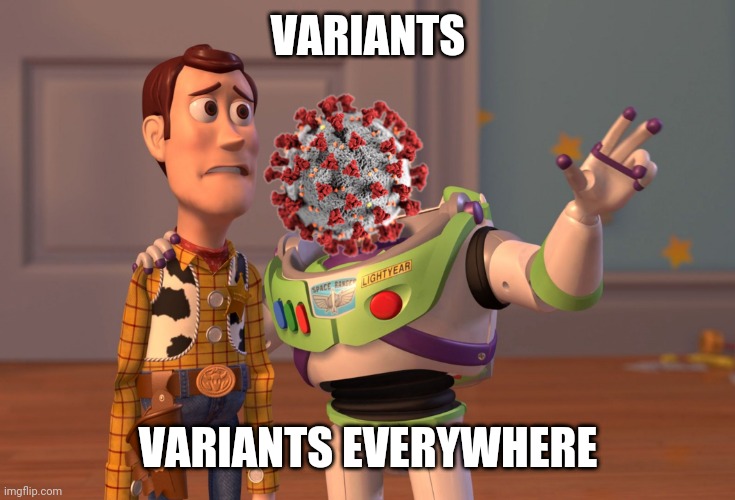 Variants | VARIANTS; VARIANTS EVERYWHERE | image tagged in memes,x x everywhere,coronavirus,covid-19,delta,variants | made w/ Imgflip meme maker