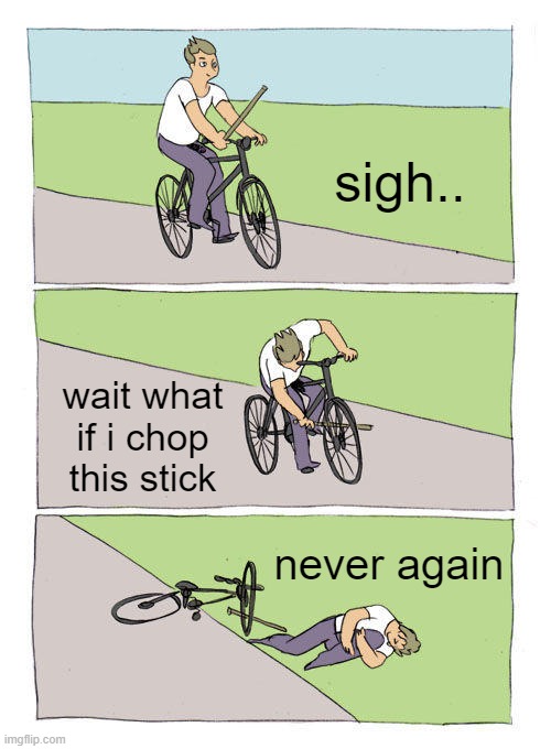 Bike Fall Meme | sigh.. wait what if i chop this stick; never again | image tagged in memes,bike fall | made w/ Imgflip meme maker