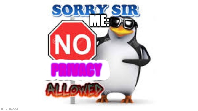 NO Anime Allowed | PRIVACY ME: | image tagged in no anime allowed | made w/ Imgflip meme maker