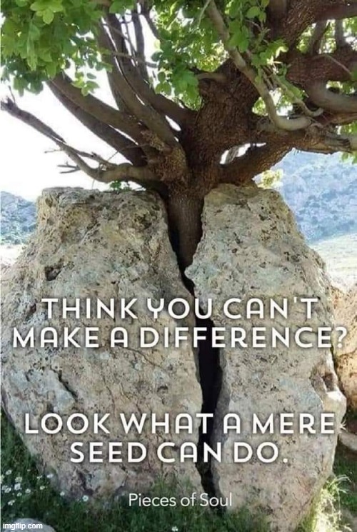 Make a Difference ! | image tagged in seeds | made w/ Imgflip meme maker