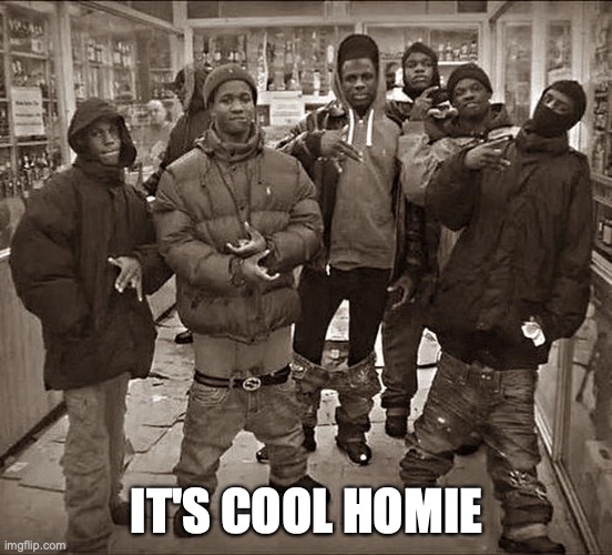 All My Homies Hate | IT'S COOL HOMIE | image tagged in all my homies hate | made w/ Imgflip meme maker