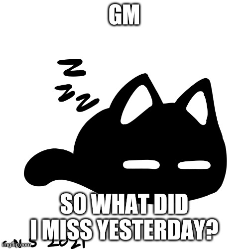 Mewo :3 | GM; SO WHAT DID I MISS YESTERDAY? | image tagged in mewo 3 | made w/ Imgflip meme maker