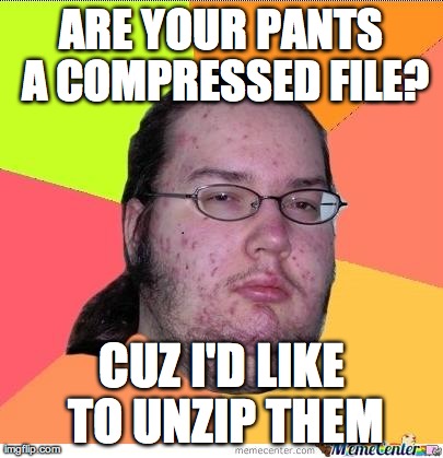 Nerd | ARE YOUR PANTS A COMPRESSED FILE? CUZ I'D LIKE TO UNZIP THEM | image tagged in nerd | made w/ Imgflip meme maker