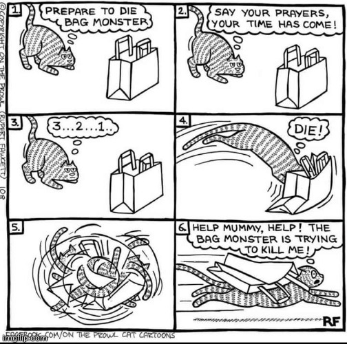THE BAG MONSTER | image tagged in cats,funny cats,comics/cartoons | made w/ Imgflip meme maker