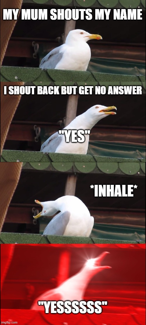 Inhaling Seagull | MY MUM SHOUTS MY NAME; I SHOUT BACK BUT GET NO ANSWER; "YES"; *INHALE*; "YESSSSSS" | image tagged in memes,inhaling seagull | made w/ Imgflip meme maker