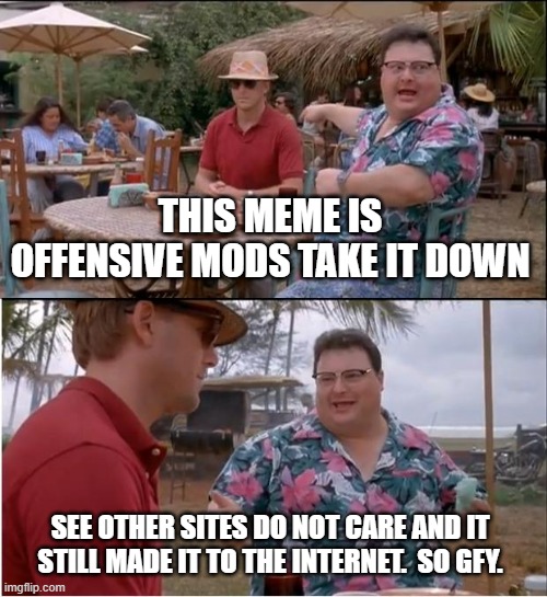 See Nobody Cares | THIS MEME IS OFFENSIVE MODS TAKE IT DOWN; SEE OTHER SITES DO NOT CARE AND IT STILL MADE IT TO THE INTERNET.  SO GFY. | image tagged in memes,see nobody cares | made w/ Imgflip meme maker