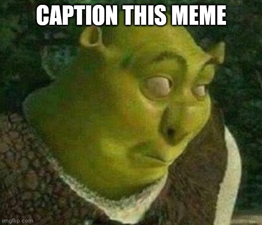 Shrek face | CAPTION THIS MEME | image tagged in shrek face | made w/ Imgflip meme maker