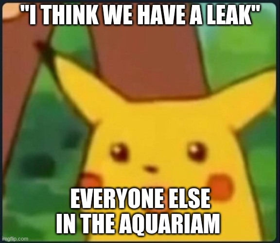Surprised Pikachu | "I THINK WE HAVE A LEAK"; EVERYONE ELSE IN THE AQUARIUM | image tagged in surprised pikachu | made w/ Imgflip meme maker
