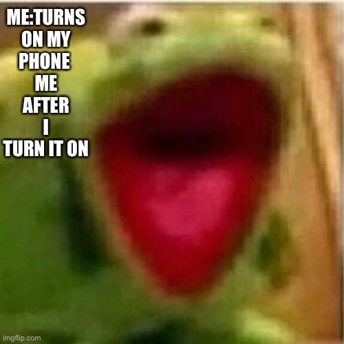 AHHHHHHHHHHHHH | ME:TURNS ON MY PHONE 
ME AFTER I TURN IT ON | image tagged in godzilla had a stroke trying to read this and fricking died | made w/ Imgflip meme maker