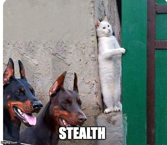 Hidden cat | STEALTH | image tagged in hidden cat | made w/ Imgflip meme maker